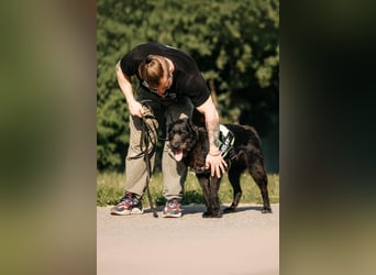 Fröhliche Ajda sucht liebevolles Zuhause