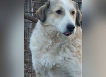 Samantha will gerettet werden