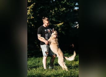 Schüchterner Yannick sucht seine Familie