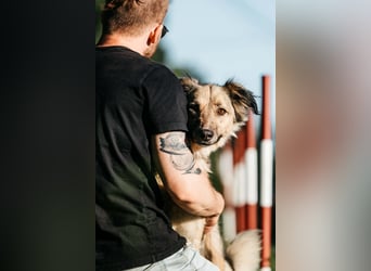 Schüchterner Yannick sucht seine Familie