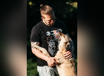 Schüchterner Yannick sucht seine Familie