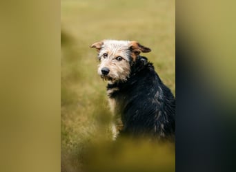 Sonnenschein Gina sucht ihre Familie