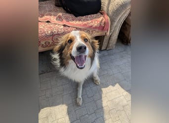 Besonderer Julius sucht perfektes Zuhause
