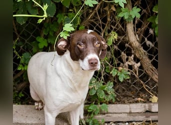 Sanfte Elina sucht liebevolles Zuhause