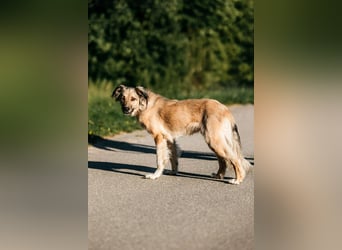 Schüchterner Yannick sucht seine Familie