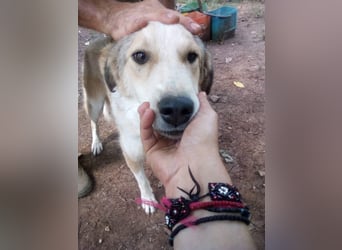 Samantha will gerettet werden