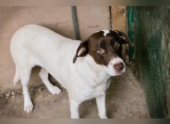 Sanfte Elina sucht liebevolles Zuhause