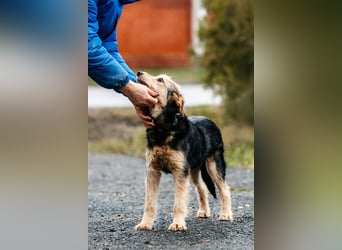 Sonnenschein Gina sucht ihre Familie