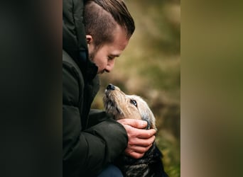 Sonnenschein Gina sucht ihre Familie