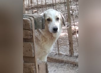 Samantha will gerettet werden