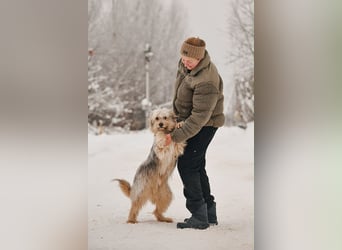 Freundlicher Benny sucht seine Familie