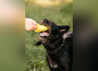Fröhliche Ajda sucht liebevolles Zuhause