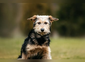 Sonnenschein Gina sucht ihre Familie