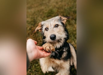 Sonnenschein Gina sucht ihre Familie