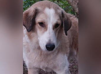 Samantha will gerettet werden