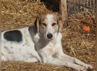 Olina unsere Kämpferin mit schweren Start ins Leben