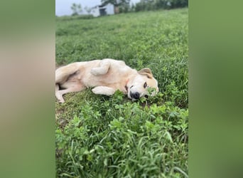 June - eine sanfte Seele auf der Suche nach ihrem Glück