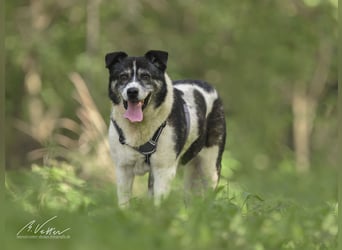 Golden Girl - lustig, entspannt und aufgeschlossen