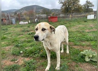 June - eine sanfte Seele auf der Suche nach ihrem Glück