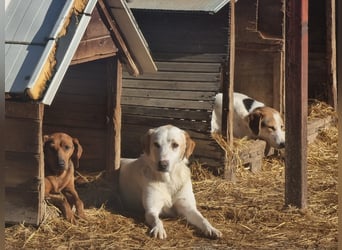 Olina unsere Kämpferin mit schweren Start ins Leben