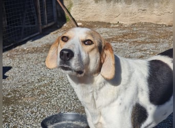 Olina unsere Kämpferin mit schweren Start ins Leben