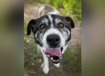 Golden Girl - lustig, entspannt und aufgeschlossen