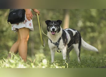 Golden Girl - lustig, entspannt und aufgeschlossen