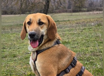 Eda- verspielte Riesin