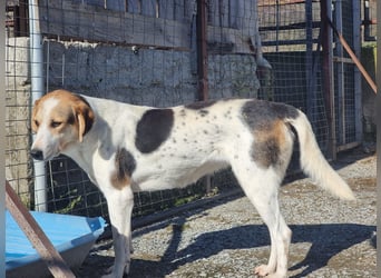 Olina unsere Kämpferin mit schweren Start ins Leben