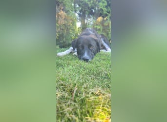 Samu sucht seine Chance – vielleicht bei dir