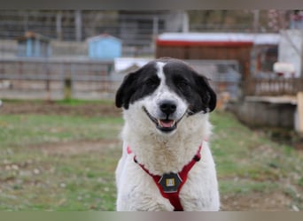 Klara möchte endlich ankommen