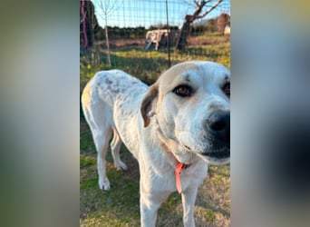 June - eine sanfte Seele auf der Suche nach ihrem Glück