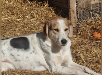 Olina unsere Kämpferin mit schweren Start ins Leben