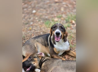 Freya- kleines Herz sucht sein Zuhause