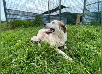 Mary – Jung, voller Leben und bereit, endlich anzukommen