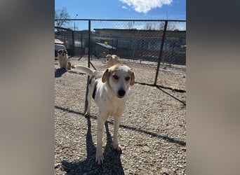 Olina unsere Kämpferin mit schweren Start ins Leben