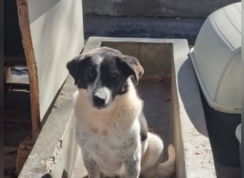 Klara möchte endlich ankommen