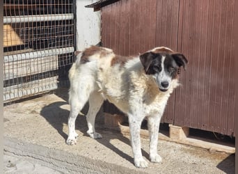 Klara möchte endlich ankommen