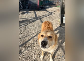 Blanca – sanfte Beobachterin mit großem Herz