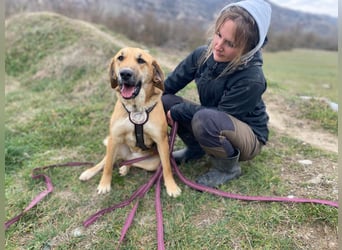 Eda- verspielte Riesin