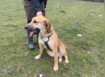 Eda- verspielte Riesin