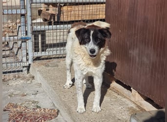 Klara möchte endlich ankommen