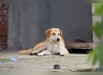 Blanca – sanfte Beobachterin mit großem Herz