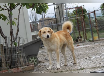 Blanca – sanfte Beobachterin mit großem Herz