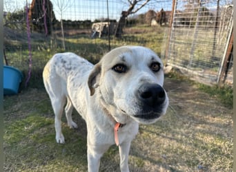 June - eine sanfte Seele auf der Suche nach ihrem Glück