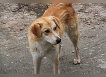 Blanca – sanfte Beobachterin mit großem Herz