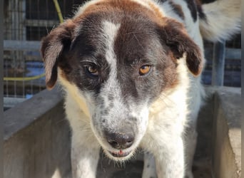 Klara möchte endlich ankommen