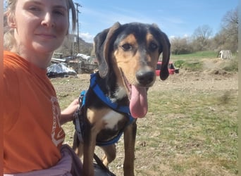 Cupcake – ein kleines Wunder mit großem Herzen