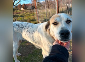 June - eine sanfte Seele auf der Suche nach ihrem Glück