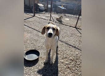 Olina unsere Kämpferin mit schweren Start ins Leben